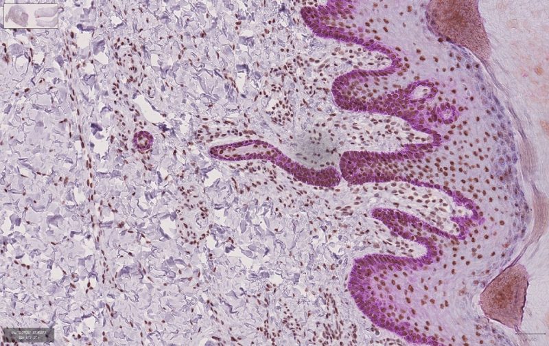 image for research page